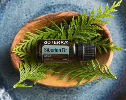 Siberian Fir essenti&euml;le olie, 15 ml van Doterra