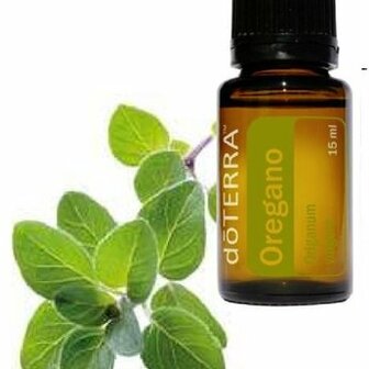 Oregano essenti&euml;le olie, 15 ml van Doterra