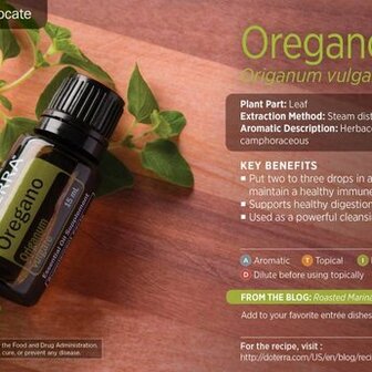 Oregano essenti&euml;le olie, 15 ml van Doterra