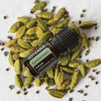 Kardemom / kardemom essenti&euml;le olie, 5 ml van Doterra